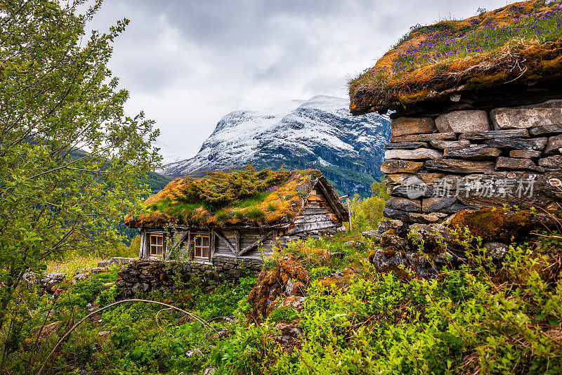 典型的挪威古老的草屋顶木屋。Homlongsetra skagefla
